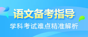 初中九年級(jí)語文下冊(cè)練習(xí)大匯總